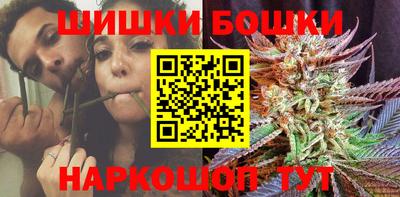 мдпв Обь