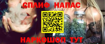 мдпв Обь