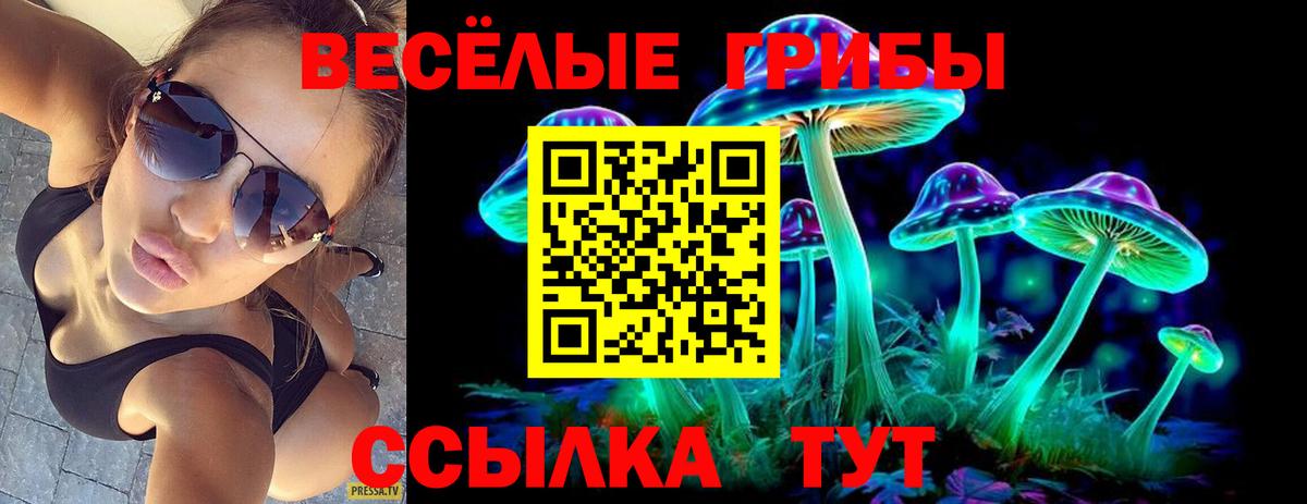 Галлюциногенные грибы прущие грибы Ревда