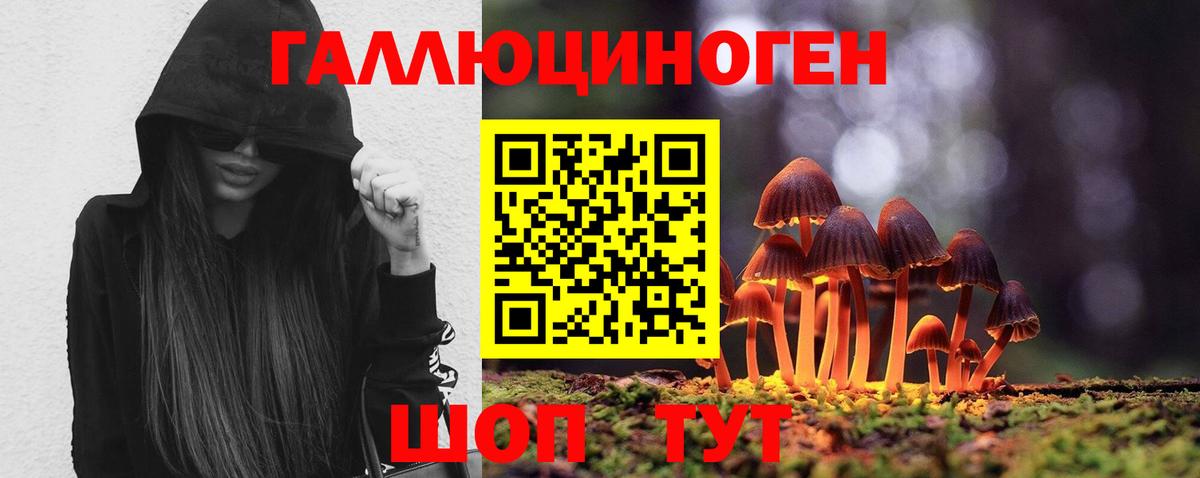 Псилоцибиновые грибы ЛСД  где купить наркоту  Ревда  Вход с VPN 